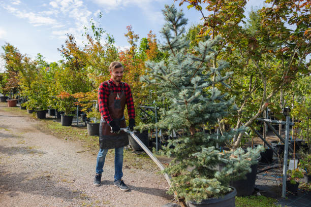 Best Tree Trimming and Pruning  in Appalachia, VA